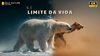 Forjados Pelo Extremo – A Jornada Brutal dos Animais Mais Resistentes da Terra | Documentário Animal