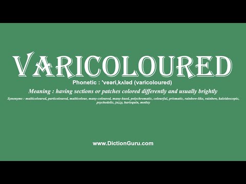 How to Pronounce varicoloured with Meaning, Phonetic, Synonyms and Sentence Examples