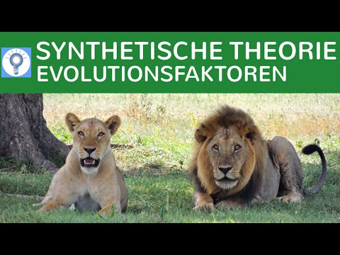 Synthetic Theory of Evolution - Evolutionary Factors | Evolution 9