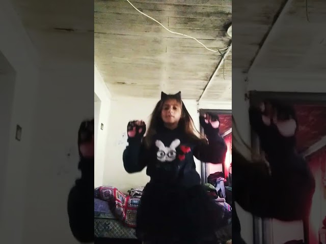 Vídeo relacionado con Juego de calcetines de anime francés de criada Lolita para disfraz de cosplay de gato peludo, guantes de oreja, Rosado, Small