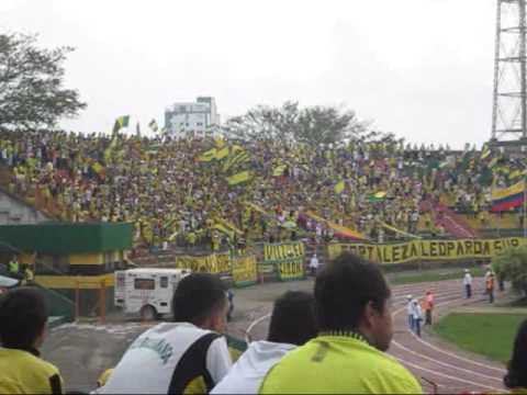 "Fortaleza Leoparda Sur - 2013; Atl. Bucaramanga Vs. Expreso Rojo; 24 Febrero 2013" Barra: Fortaleza Leoparda Sur &bull; Club: Atlético Bucaramanga