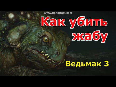 КАК УБИТЬ ЖАБУ - ВЕДЬМАК-3