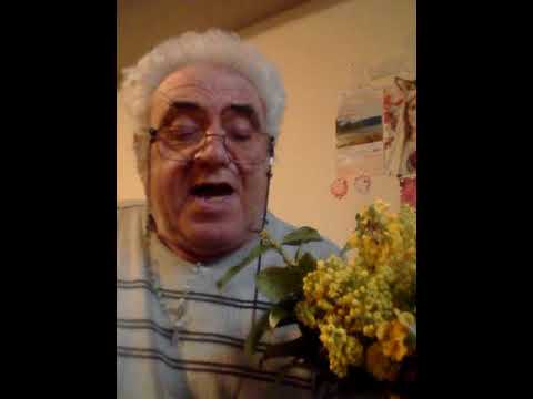 Di Reggio di Reggio mi hanno portato a Catanzaro Grazie Gesù sia lodato Amen Alleluia Grazie