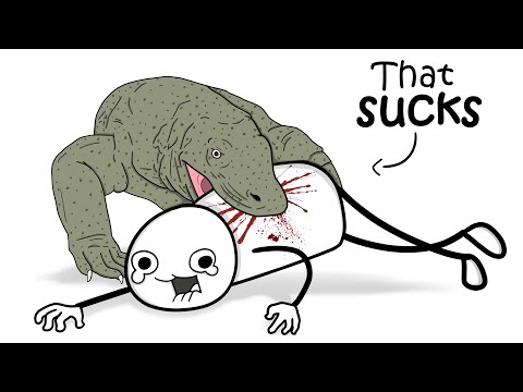 How To Survive Wild Animal Attack