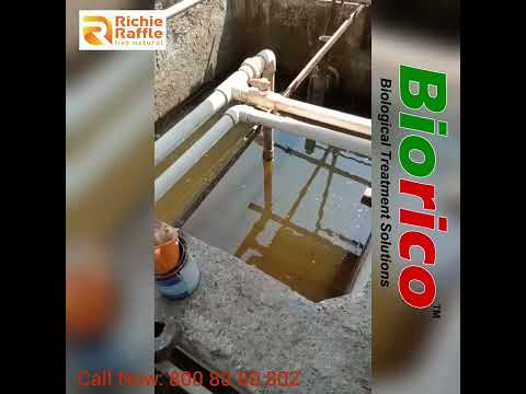Biorico Effluent Treatment Biological Powder