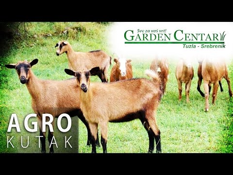 Agro Kutak 53 - Kako razviti uspješnu prodaju u poljoprivredi? - 01.11.2016.