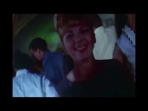 Something to Say - 2005 Music Video by The Lucky Shots