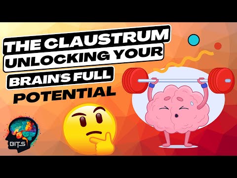 The Claustrum: Unlocking Your Brain's Full Potential!