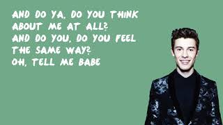 Ruin - Shawn Mendes (Lyrics)