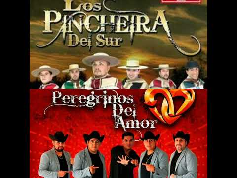 Ahora Que Te Vas - Los Pincheiras Del Sur Ft Peregrinos Del Amor🎶