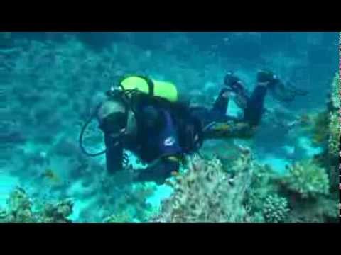 Дайвинг сафари на Красном море.