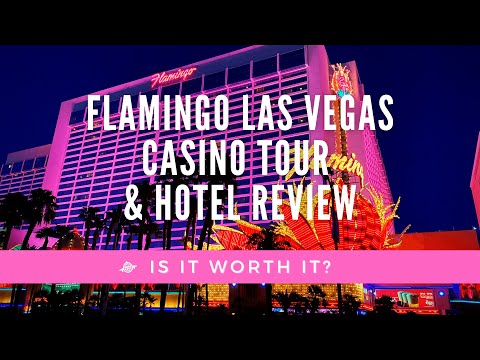 image-Does the Flamingo hotel have bed bugs?