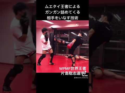 【ムエタイ王者】片島選手による、詰めてくる相手をいなす技術