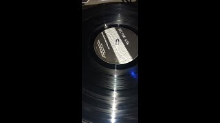 Speedy  -  Spiders Everywhere Flatner & Ingram Mix
