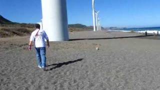 preview picture of video 'Bangui windmills in Bangui, Ilocos Norte, the Philippines - January 2010'