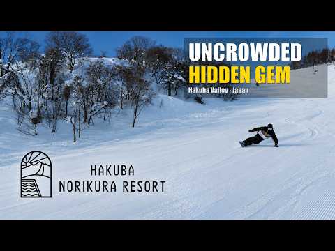 Uncrowded Hidden Gem in Japan | Hakuba Norikura Onsen Ski Resort