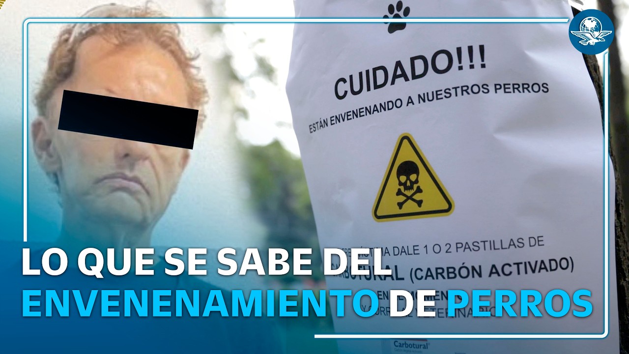 Detienen a hombre por lomitos envenenados en la Condesa: esto se sabe