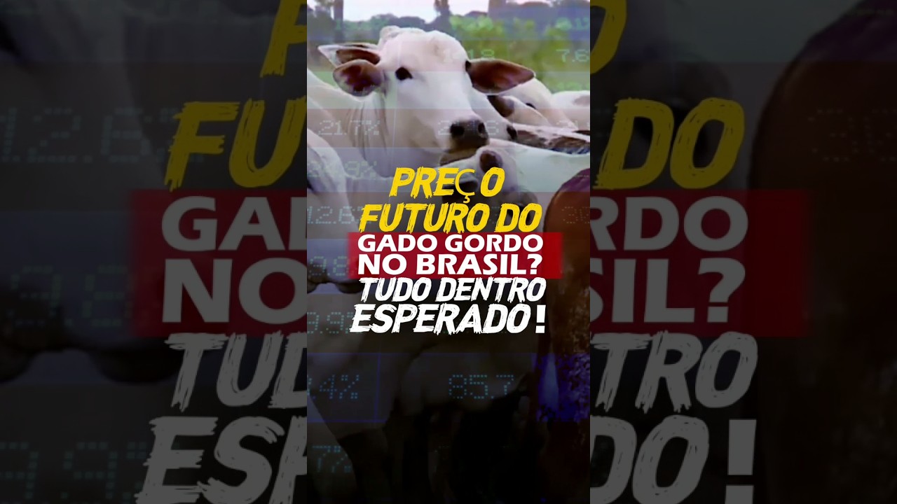 PREÇO FUTURO DO GADO GORDO NO BRASIL? TUDO DENTRO DO ESPERADO!