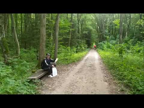 NERWOWY NAWĄCHANY MAJOR W LESIE REUP.(29.07.2020)