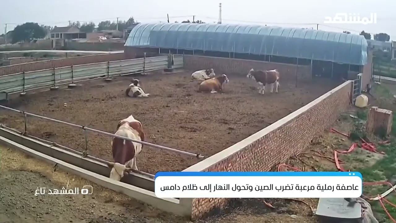 نهاية العالم؟ وحش ترابي يغطي السماء ويخفي مدينة كاملة! - المشهد تاغ