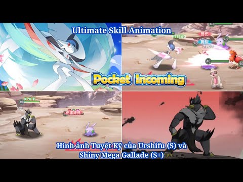 Pocket Incoming : Hình ảnh Tuyệt Kỹ Urshifu (S) Shiny Mega Gallade (S+) | Ultimate Skill Animation