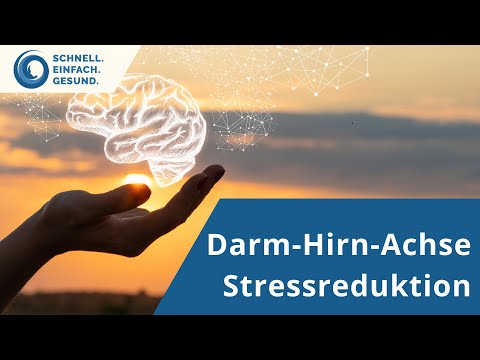 Wie die Darm-Hirn-Achse Deine Gesundheit steuert 🧠 Auszug aus dem Darm-Masterkurs