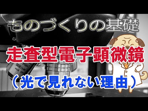 光学顕微鏡について詳しく解説
