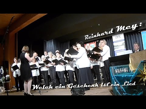 Reinhard Mey: Welch ein Geschenk ist ein Lied