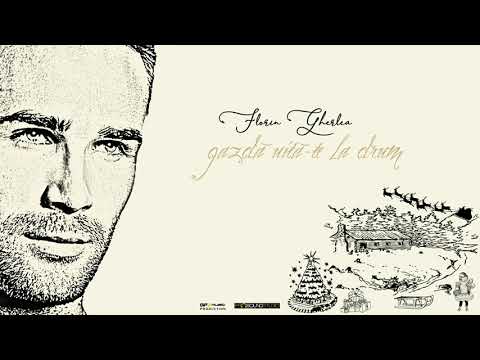 Florin Gherlea - Gazda uita te la drum