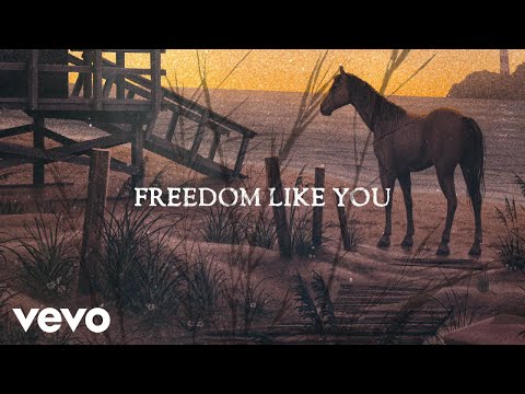 Video thumbnail for Freedom Like You