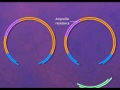Construction of a Plasmid Vector [HD Animation]