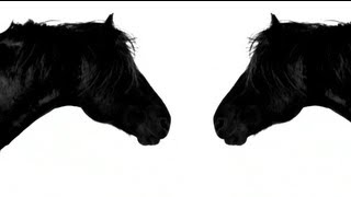 Truls - The Next (Official Video)