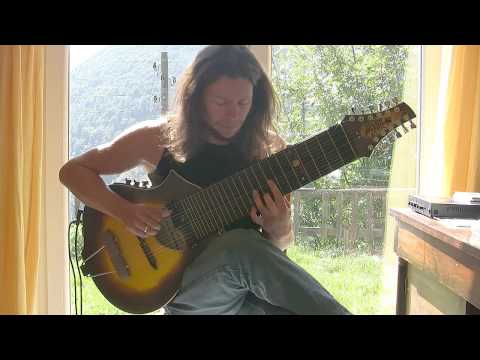 Old folk song on beartrax guitar by jan laurenz