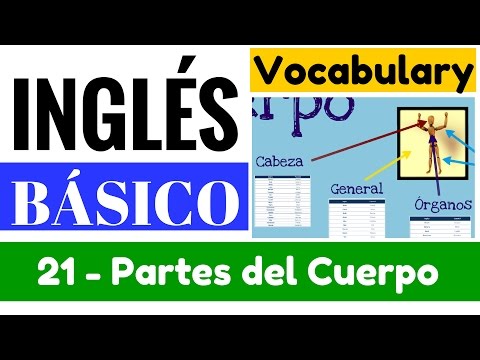 General body parts vocabulary, head, organs "Yes in English 1" [Video 21]