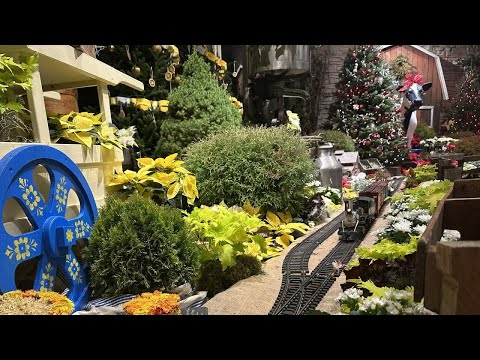 Tips To Pick Out The Best Gift For Plant-Lovers This Christmas