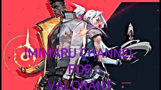 おやおや？Valorantですか？意味丸さん？#2