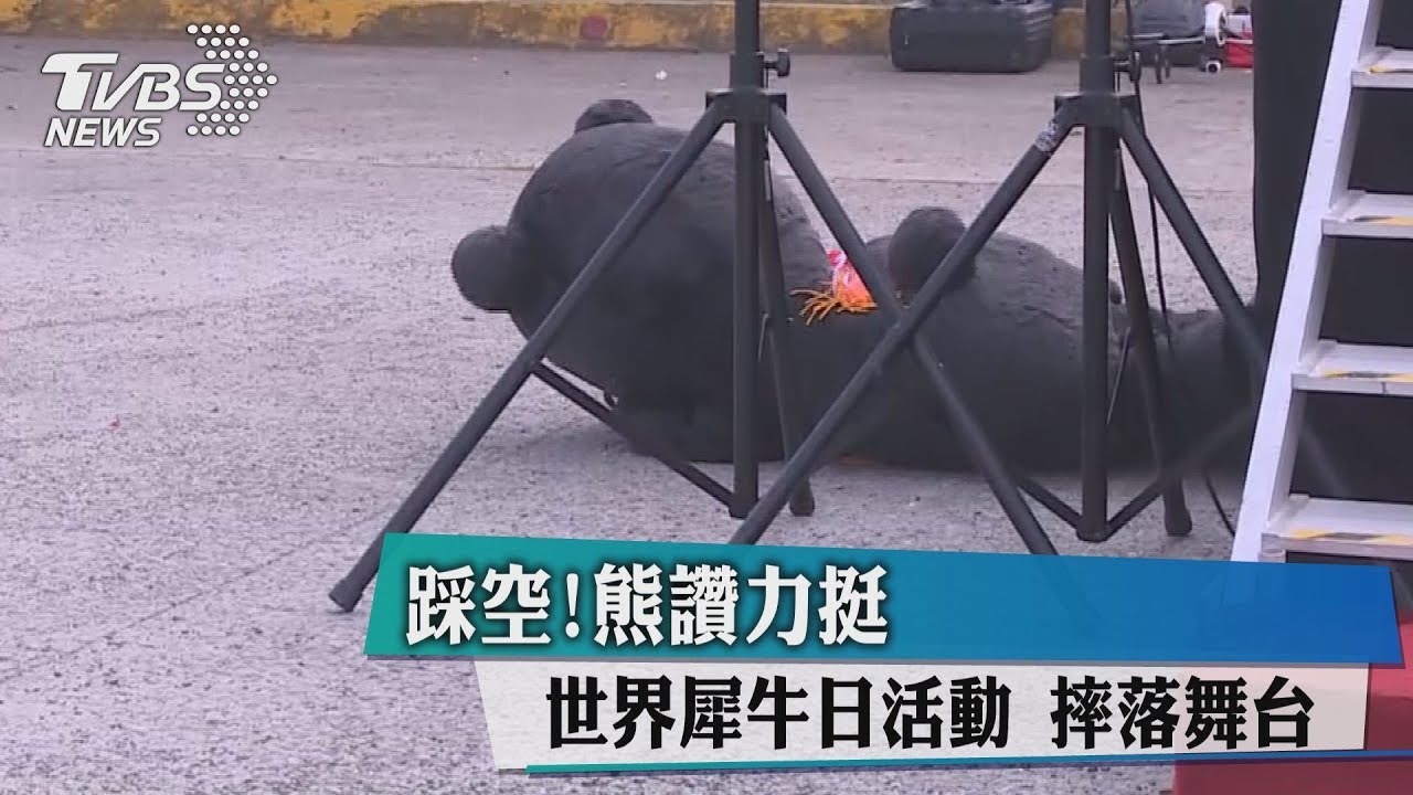 踩空!熊讚力挺世界犀牛日活動 摔落舞台