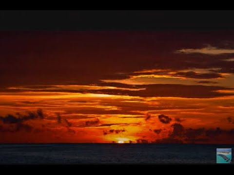 Jese Mucunabitu-Tropical Dawn.