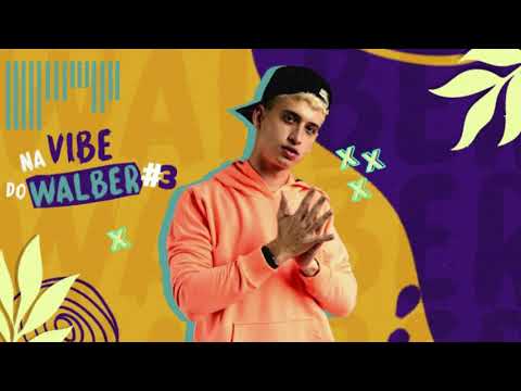 WALBER - NaVibeDoWalber CD ATUALIZADO 2022