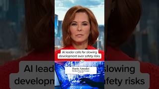 AI leader calls for slowing development over safety risks