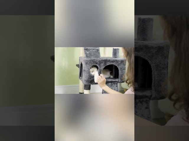 Vídeo relacionado con PawHut Árbol Rascador para Gatos - Torre con Túnel, Nido, Plataformas, Bola de Juguete y Poste de Yute Marrón Oscuro - Altura 47 cm