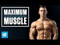New Year, New Muscle | Abel Albonetti's Maximum Muscle