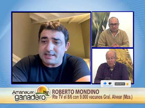 Roberto Mondino Rte TV el 8-6 con 9.000 vacunos desde Gral. Alvear 29-05-2021