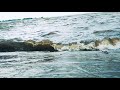 Sagar Jaisi Aankhon Wali WhatsApp Status ️ ️