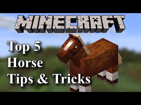 Minecraft |Top 5 | Horse Tips and Tricks