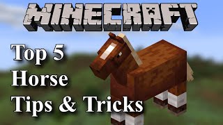 Minecraft |Top 5 | Horse Tips and Tricks