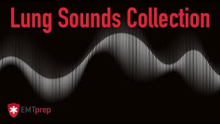 Lung Sounds Collection - EMTprepcom