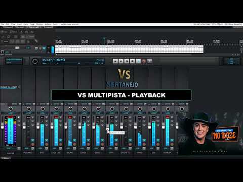 VS MULTIPISTA E PLAYBACK NATAZINHO LIMA PLAYBACK PROFISSIONAL