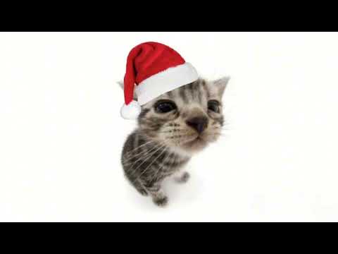Christmas is coming!!!(sped up playlist)