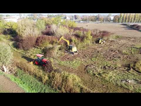 Disboscamento di 10.000 metri in giornata 💪🏻